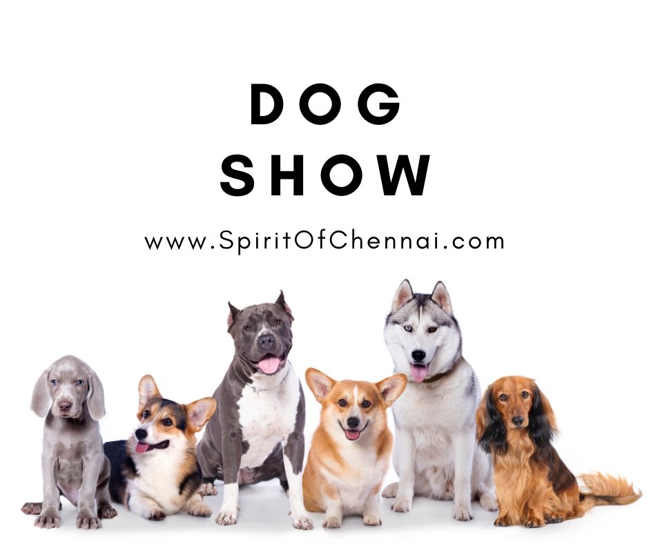 Dog Show Exhibition in Chennai