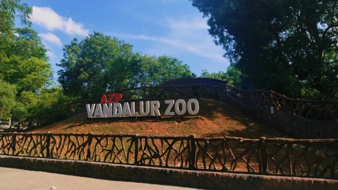 Vandaloor Zoo
