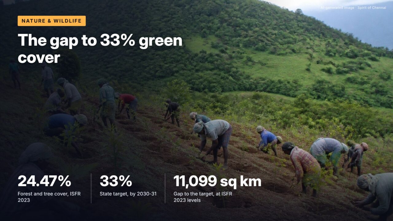 The gap to 33% green cover